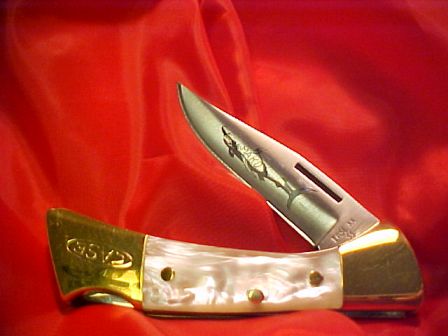 k407 Case XX SS Mother Of Pearl P158 LSSP Lock Blade 4 1/4