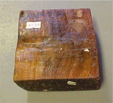 Banksia Wood