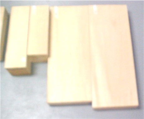 Northern Basswood