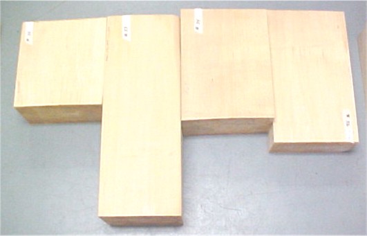 Carving Bass Wood