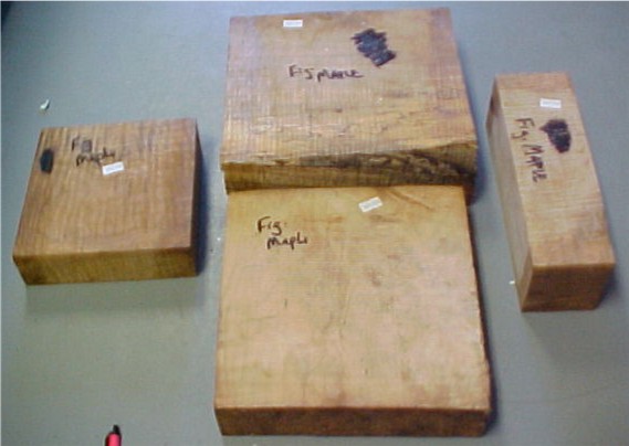 Figured Maple Wood